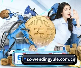 全流程赛事陪伴, 观赛有据可依